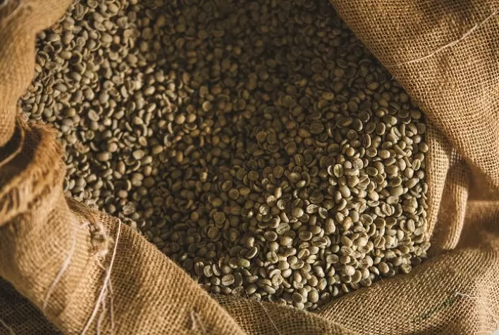 Prêmio "Coffee of The Year" tem recorde de amostras inscritas