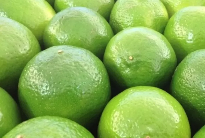 Limão taiti registra alta de quase 90% nos preços pagos aos produtores
