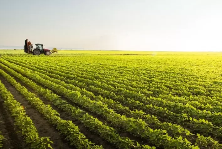 Valor da Produção Agropecuária de 2022 é estimado em R$ 1,188 trilhão