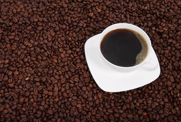 Integração de soluções químicas e biológicas no café é destaque da UPL no Encoffee