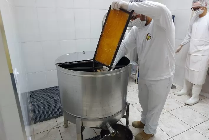 INSPEÇÃO: Agroindústrias de São José do Rio Preto vão ampliar mercado de produtos cárneos e mel