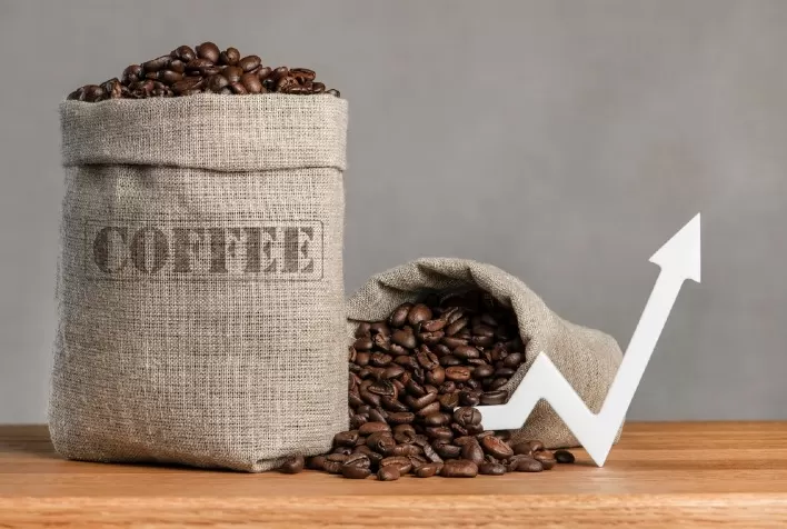 Lei do Agro: mudanças na CPR trazem obrigações e benefícios para o mercado de café