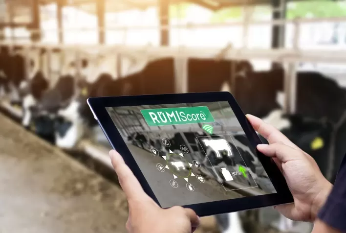 RumiScore promoverá o maior benchmarking de produtividade e sustentabilidade da pecuária de leite do Brasil