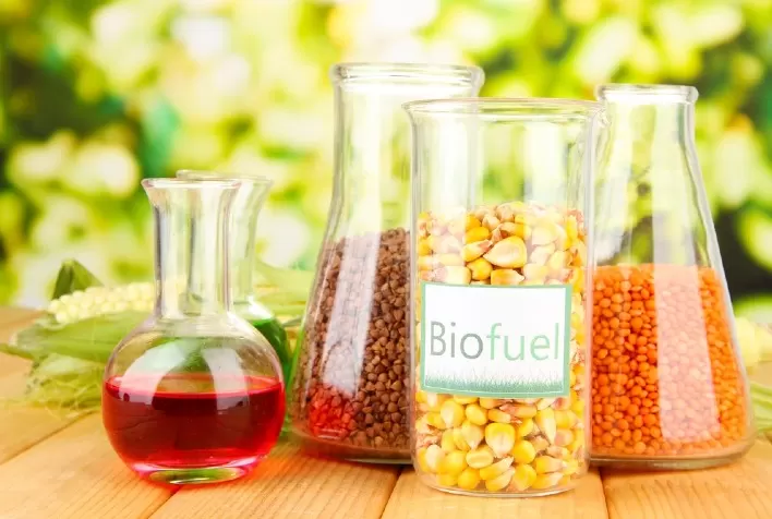 Evento mundial de bioenergias destaca a necessidade de se impulsionar estruturas normativas previsíveis, fomentar mercados e construir indicadores sociais, econômicos e ambientais que demonstrem as vantagens das atividades bioeconômicas