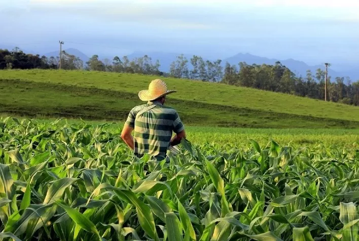 17/10 Dia da Agricultura - tecnologias ajudam a reduzir custos e levam inclusão financeira para o campo