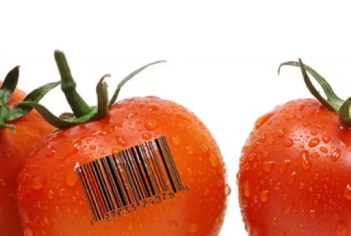Supermercado na Alemanha monitora qualidade de tomate pelo aplicativo