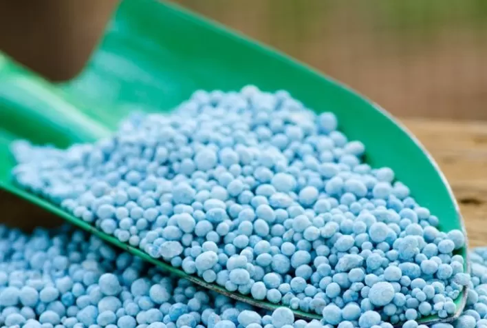 “Queda no preço dos fertilizantes pode levar produtores rurais a recuperação judicial”, alerta Douglas Duek