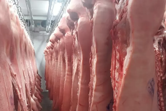 Em 9 dias úteis, volume embarcado de carne suína brasileira chega a 63% do total exportado em outubro de 2021
