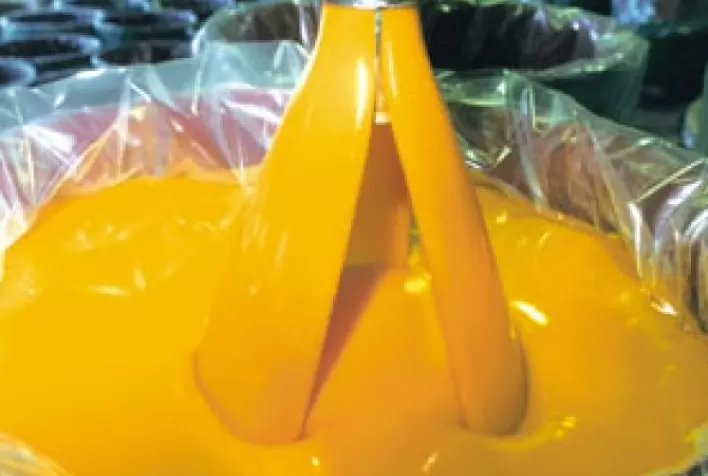 Exportações brasileiras de suco de laranja registram alta de 3,24% no primeiro trimestre da safra 2022/2023