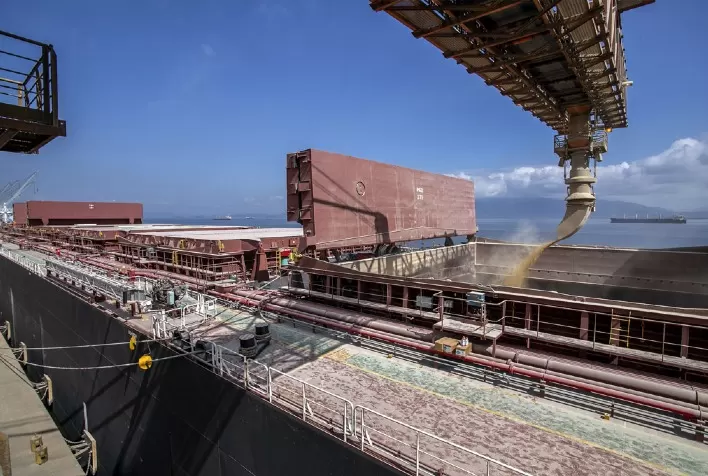 Porto de Paranaguá espera exportar 6,6 milhões de t de grãos em 3 meses