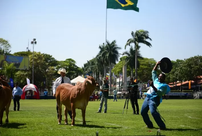 Qualidade do Brahman brasileiro impressiona jurado internacional da 18ª ExpoBrahman