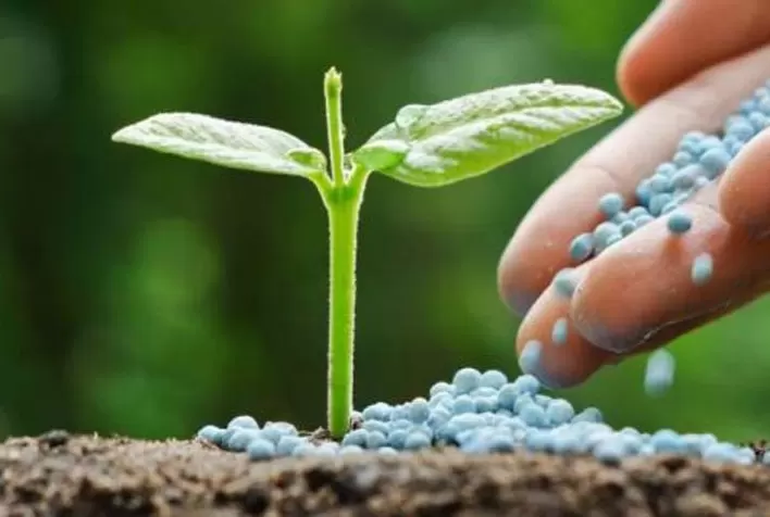 Fertilizantes: Nutrição da soja movimentou US$ 12 bilhões na safra 2021-22