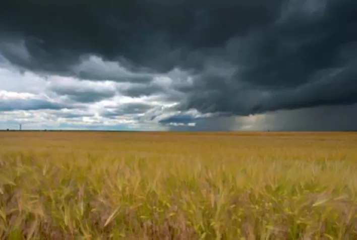 Bolsa de Buenos Aires corta projeção de safra da Argentina devido a clima adverso