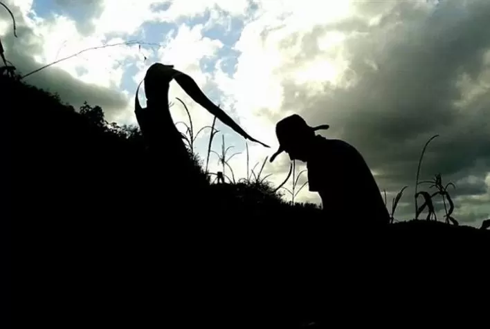 Posse e propriedade: o direito no agro como estratégia que beneficia o produtor rural