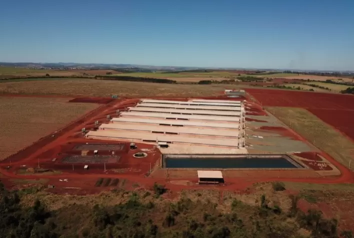 JA Agropecuária comemora aumento de 10 ton/mês na produtividade aliando automação e genética