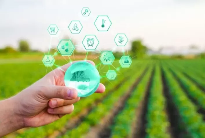 Syngenta Digital tem crescimento de 400% de usuários na última safra agrícola
