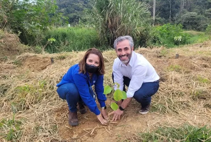 CBA abre novo edital de programa de reflorestamento ambiental voltado para produtores rurais de quatro estados brasileiros