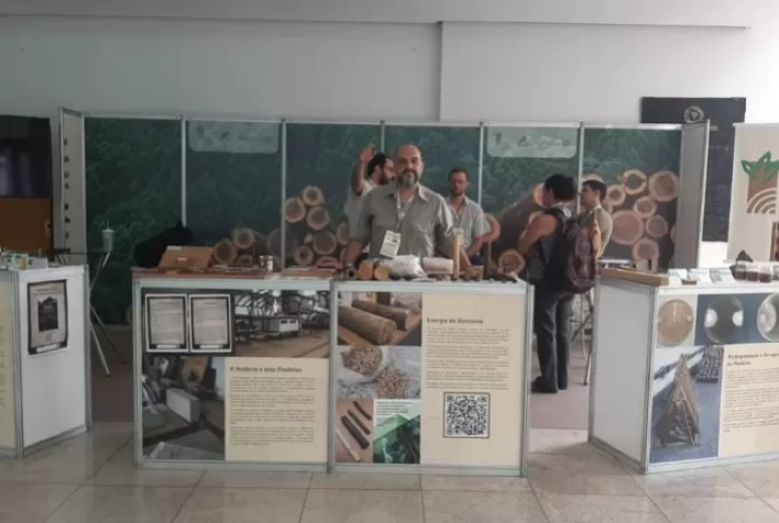 Laboratório de Produtos Florestais participa de congresso sobre ciência e tecnologia de madeira