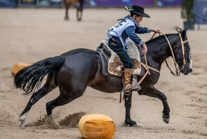 Freio Jovem do Cavalo Crioulo define vencedores do ciclo em oito categorias
