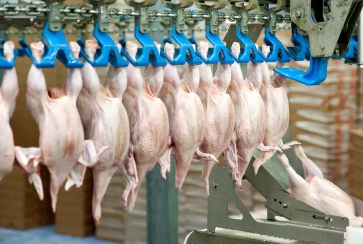 Embarques de carne de frango seguem acelerados e registram arrecadação em 14 dias úteis equivalente a 92% do total de outubro/21