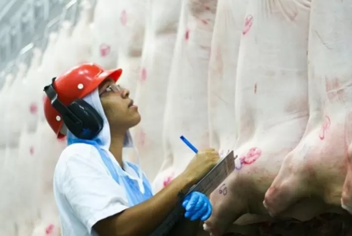 Em 14 dias úteis, receita das exportações de carne suína brasileira chegam a 90,7% do total obtido em outubro do ano passado