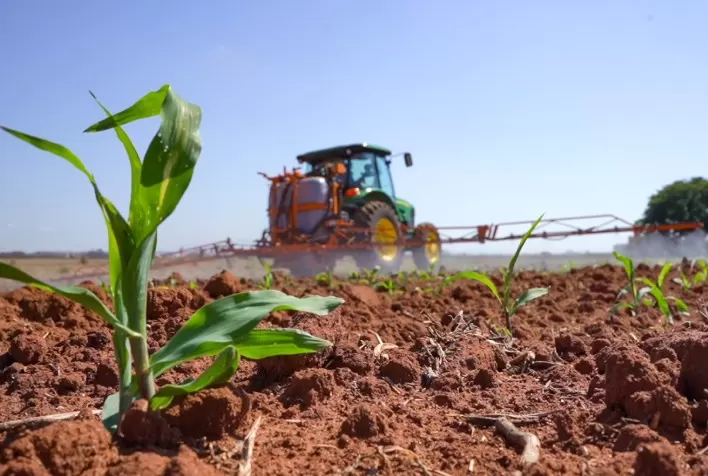 Bioinseticidas elevam índices de controle da Spodoptera frugiperda e fomentam produtividade