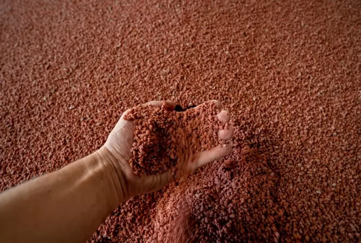 Sindiadubos divulga projeções para o mercado de fertilizantes no Brasil em Simpósio