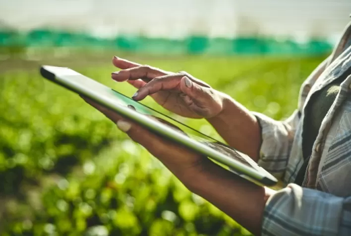 Softwares podem ajudar a otimizar o trabalho do produtor agrícola?