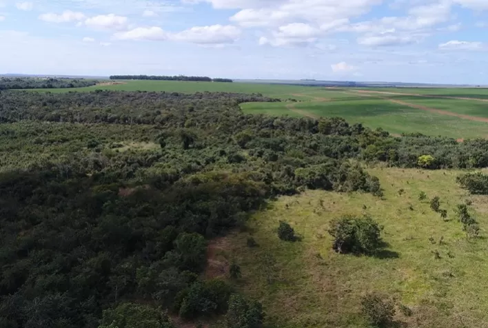 Estudo usa dados espaciais para classificar risco de desmatamento no Cerrado