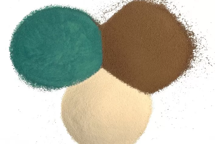 Selo Bem-Estar Animal é bandeira da Trouw Nutrition para uma cadeia produtiva mais sustentável