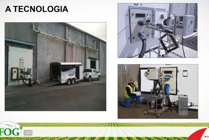 Sumitomo Chemical lança plataforma exclusiva para proteção da maçã, fruta que as perdas podem superar os 30% da produção no Brasil