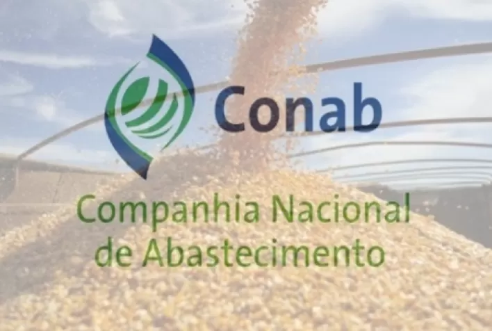 Conab promove compra pública de milho para abastecer estoques públicos