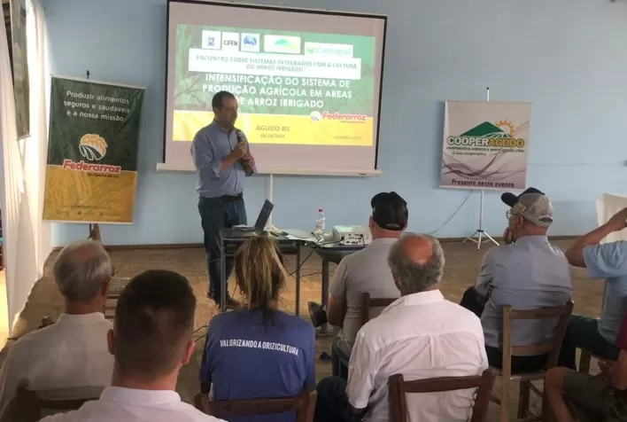 Projeto quer estimular diversificação entre arrozeiros da Região Central