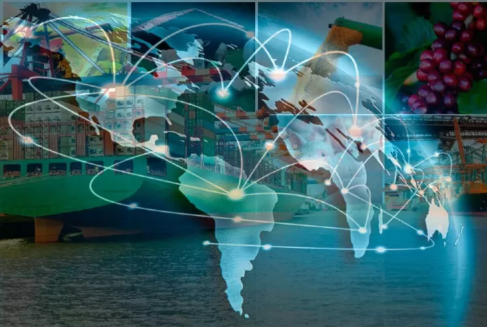 Análise: como a saída da Rússia do acordo de grãos pode afetar a fome no mundo