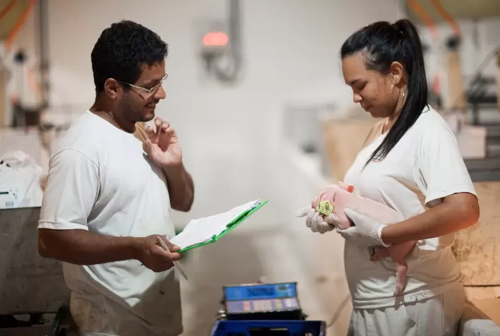 Desafios do futuro serão debatidos em Workshop de Produção e Nutrição de Aves e Suínos, em Viçosa (MG)