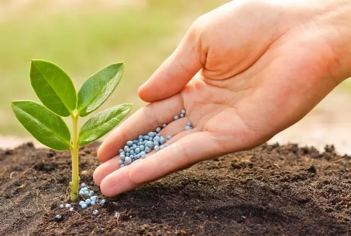 Fórmulas de fertilizantes sem enchimento geram lavouras mais produtivas