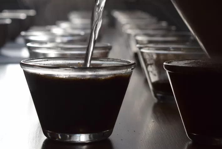 Programa Especialíssimo da Cooxupé bate recorde de recebimento de café em 2022