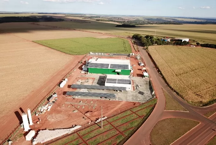 SLC Agrícola tem prejuízo de R$78 mi no 3º tri, prevê área maior para soja e milho