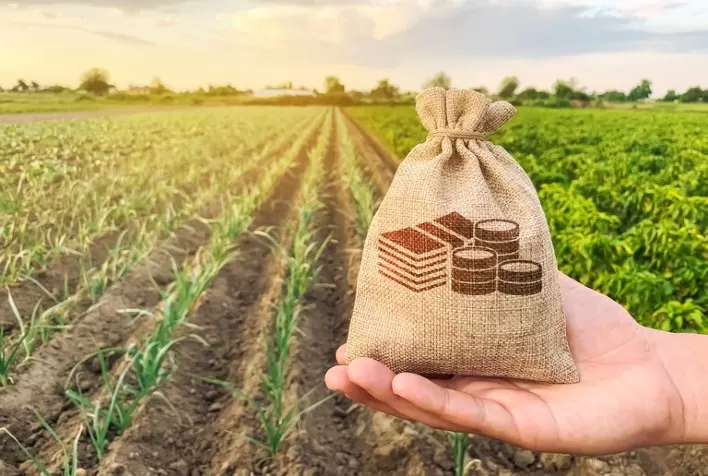 Desembolso do crédito rural chega a R$ 148 bilhões até outubro, com alta de 22%