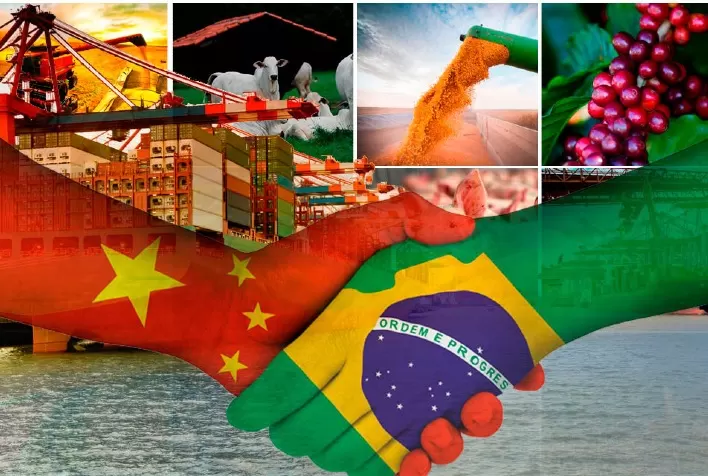 “Do couro sai a correia”: quando a China levar milho brasileiro, suínos e frango levarão mais preços