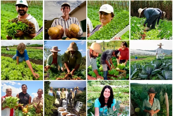 Agricultores familiares precisam adotar medidas de adaptação para enfrentar as mudanças do clima, aponta estudo do FGVces
