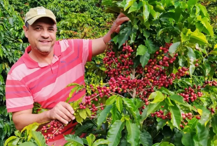 Sistema Faemg promove cafés de qualidade