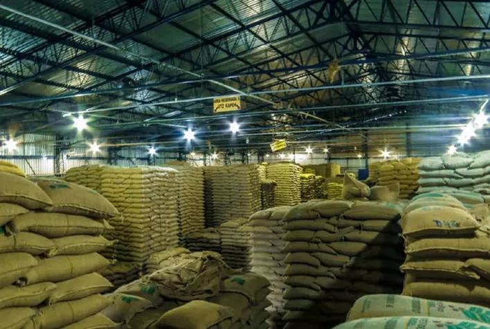 Exportação do Café e a sustentabilidade - Brasil faz a lição de casa e fica de olho na Europa e nos Estados Unidos