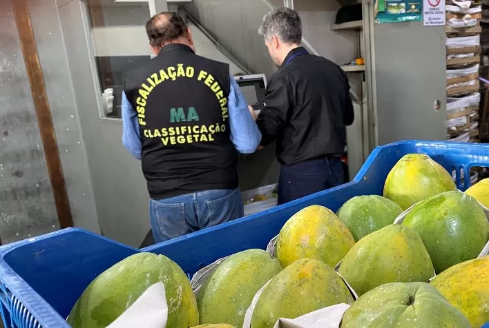 Ceagesp vai proibir entrada de alimentos sem rastreabilidade a partir de janeiro