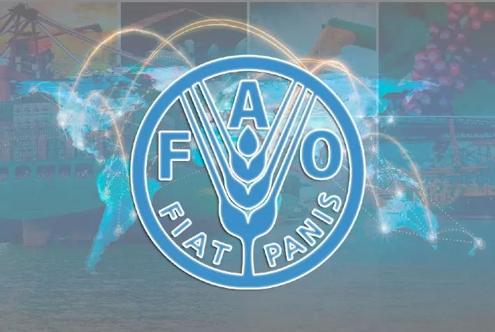 Custos de importação de alimentos atingem recorde, ameaçando os mais pobres, diz FAO
