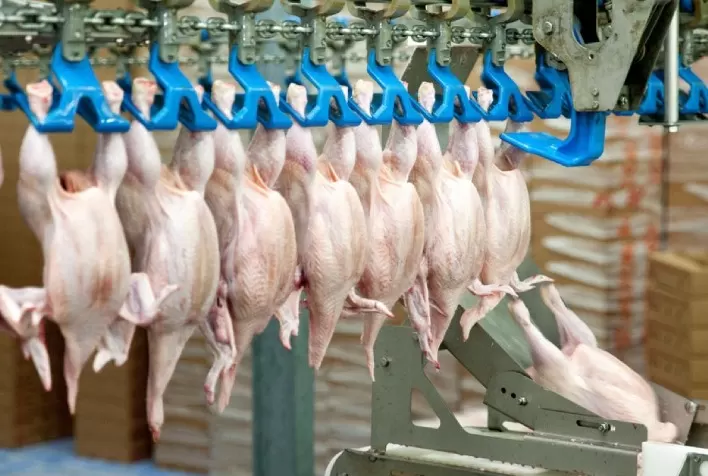 O frango abatido (inteiro e cortes) na inflação de outubro