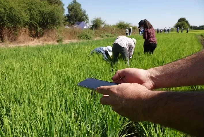 Na COP27, IICA apresenta Realizações da agricultura das Américas no combate e mitigação da mudança do clima