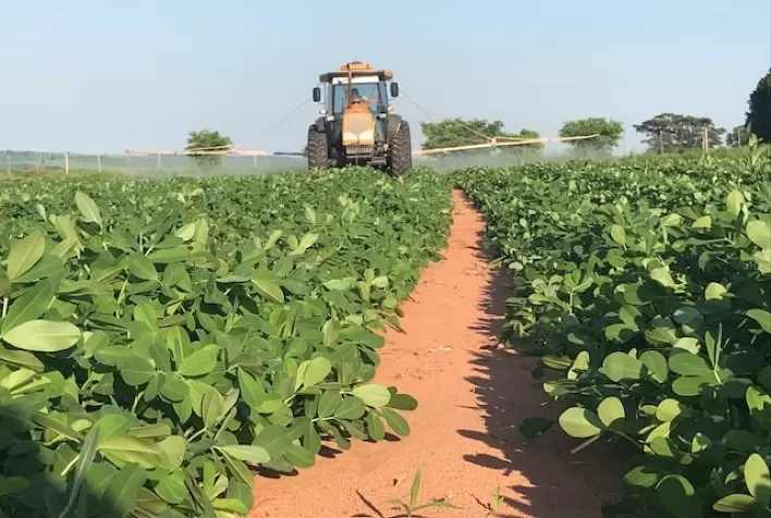 Inseticida tem bom desempenho de controle em lagartas nas culturas da soja e milho