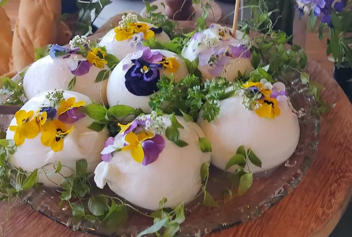 Burrata gaúcha de queijo de búfala vem conquistando consumidores