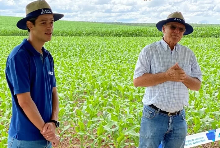 Produtor de Capão Bonito (SP) atinge o dobro da média nacional de produtividade de milho e alcança 190 sacas por hectare usando tecnologias ICL na safra de inverno